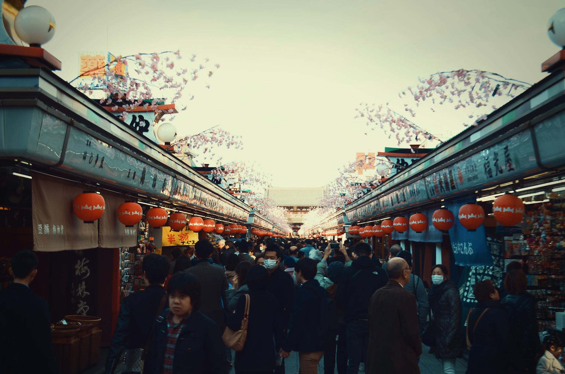 Tokyo'da Ailece Macera Dolu Bir Hafta! 🎌