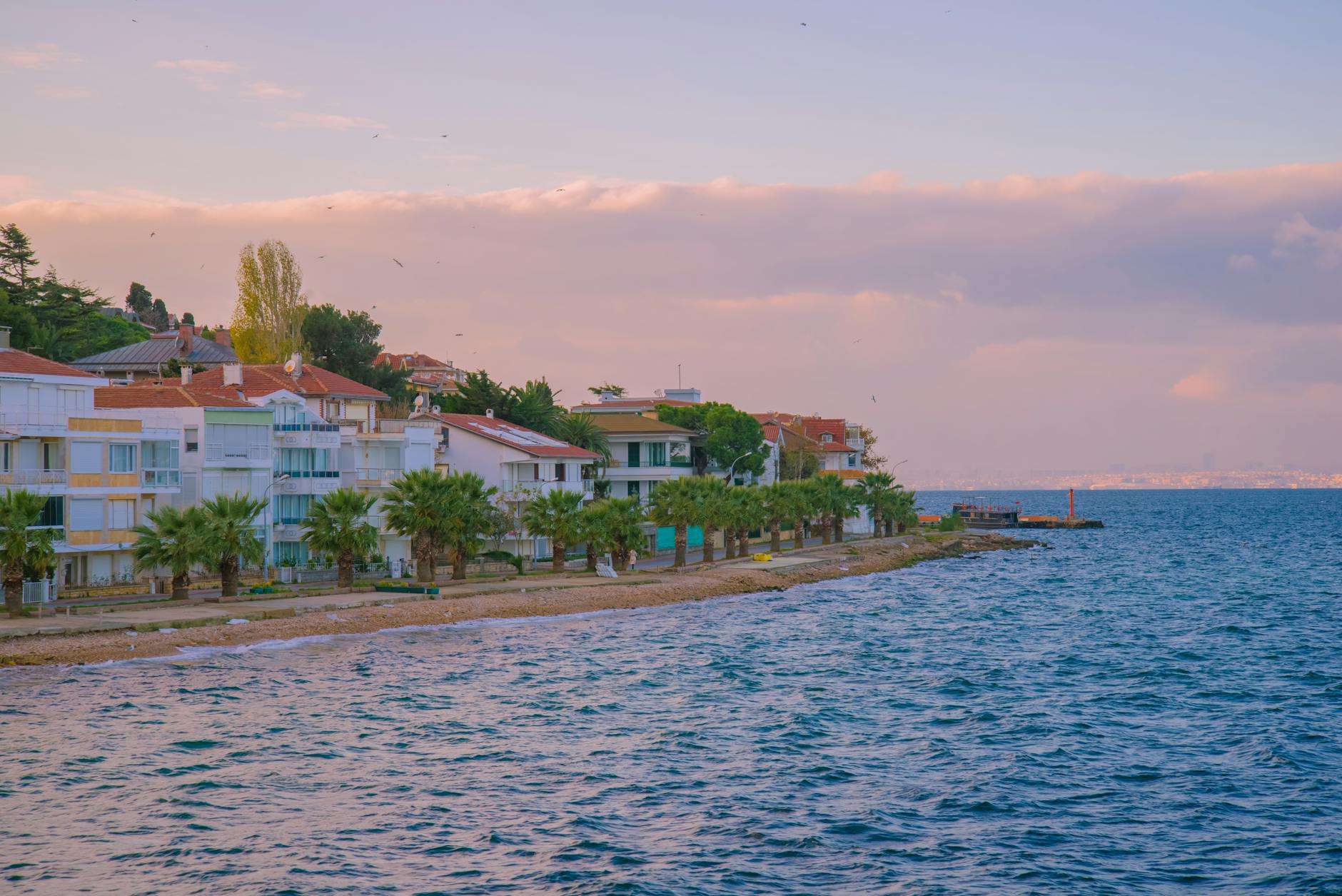 Tekirdağ'da Tarih ve Lezzet Keşfi 🏛️🍇