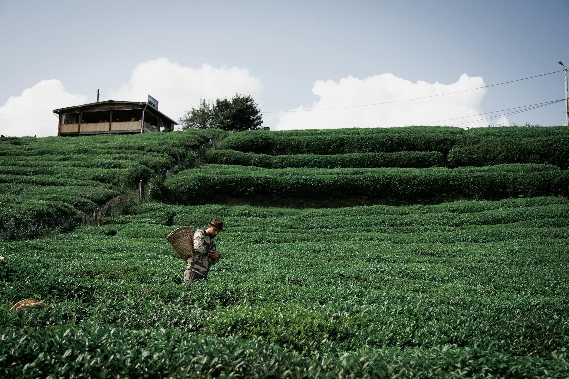 Rize'nin Yeşil Kalbine Yolculuk: Arkadaşlarla Doğa Keşfi! 🏞️