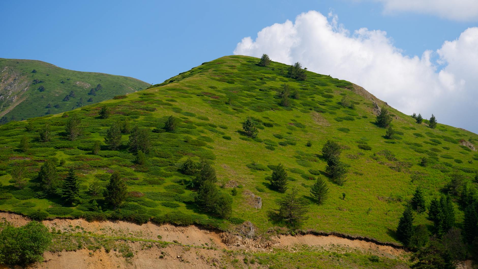 Bolu'nun Saklı Kültür Hazineleri 🏞️